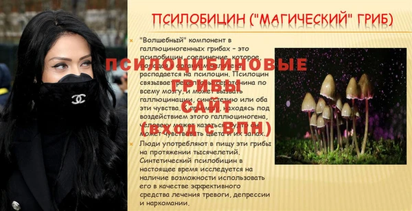 Альфа ПВП Баксан