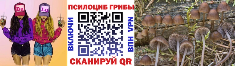 наркота  нарко площадка какой сайт  кракен как зайти  Галлюциногенные грибы Psilocybe  Печоры 